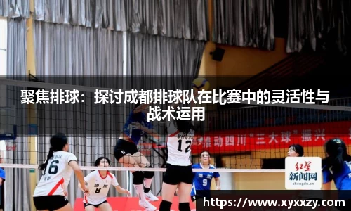 DG视讯平台